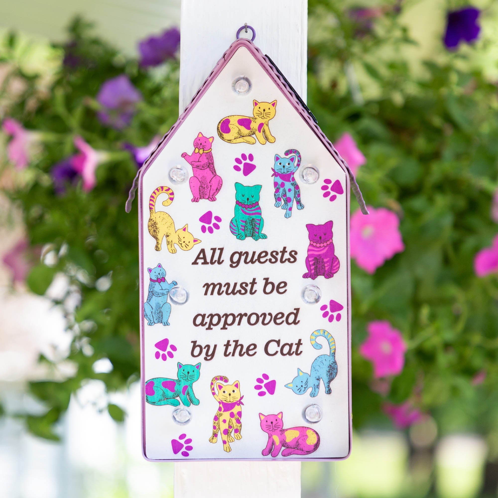 Cat Themed All Guests Must Be Approved Solar Lantern Garden Decor