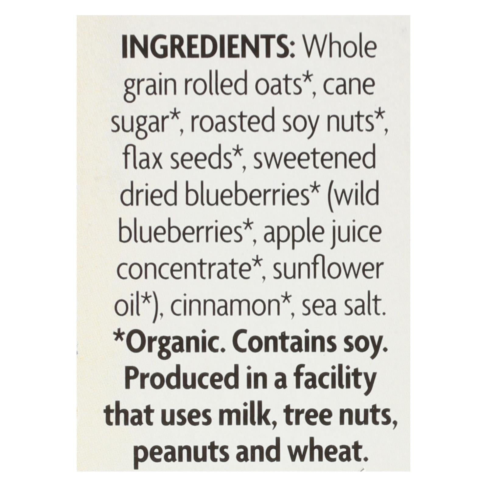 Nature's Path Organic Blueberry Cinnamon Flax Cereal, 6-pack