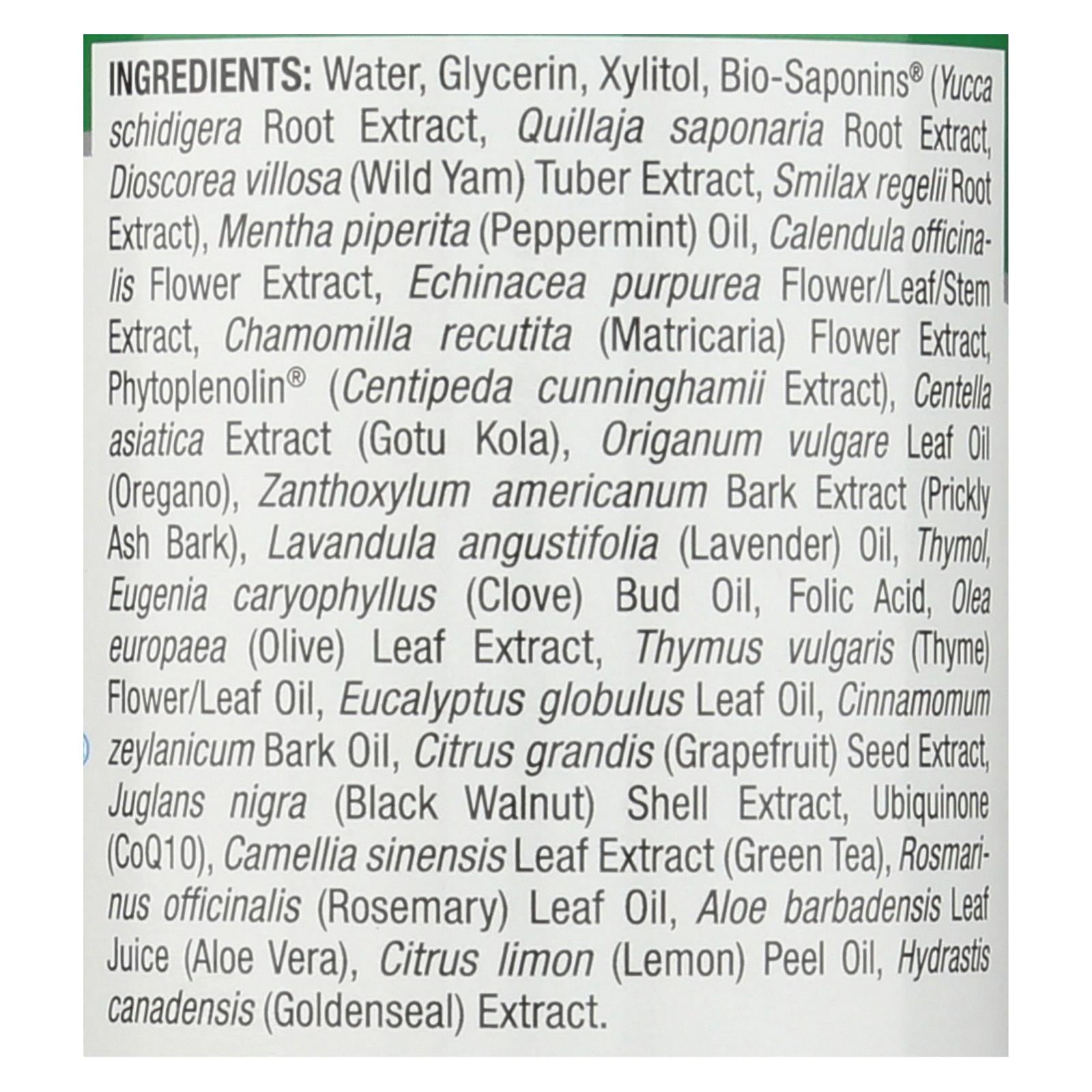 Nature's Answer Cool Mint Alcohol-Free Mouthwash 16 Fl Oz