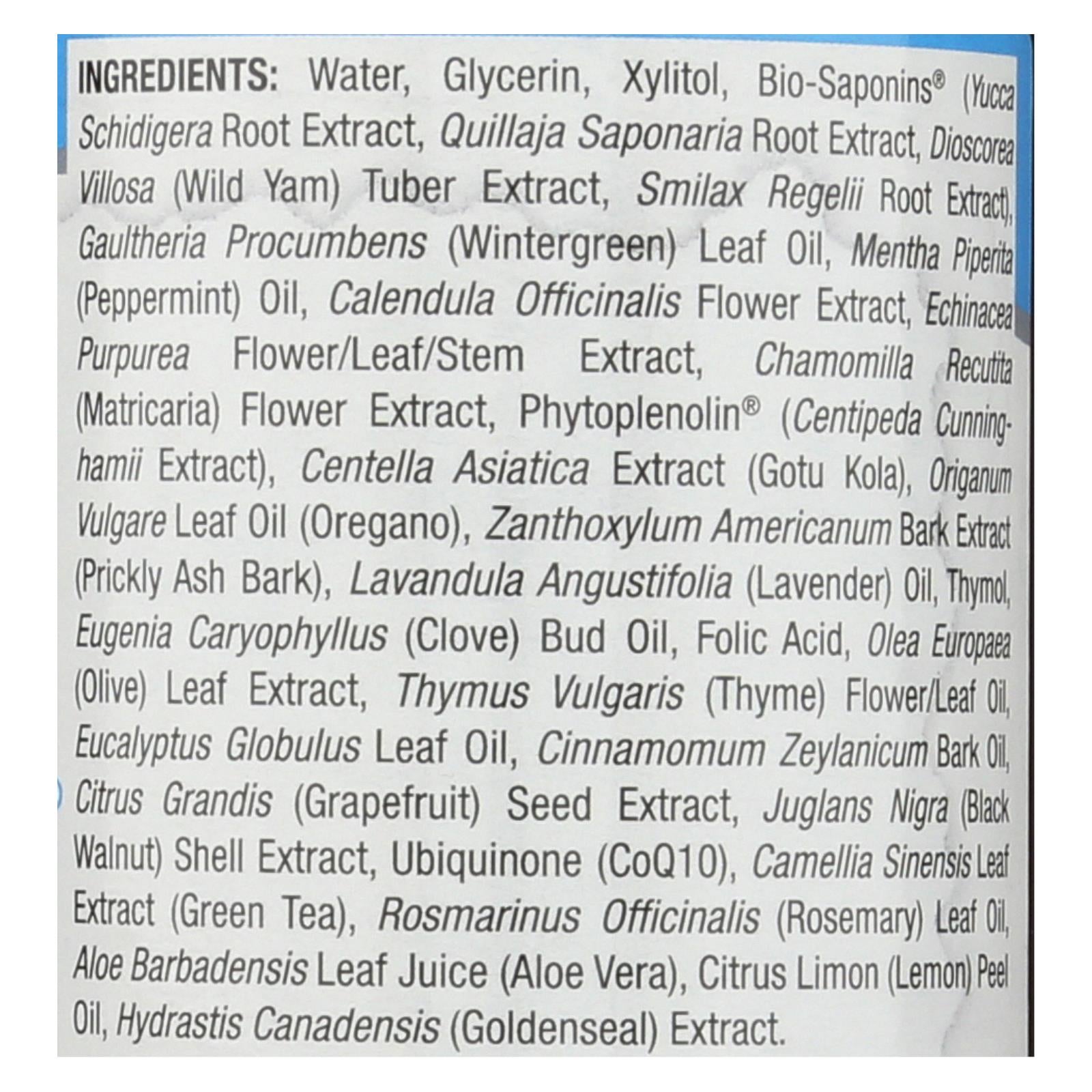 Nature's Answer Winter Mint Alcohol-Free Mouthwash 16oz