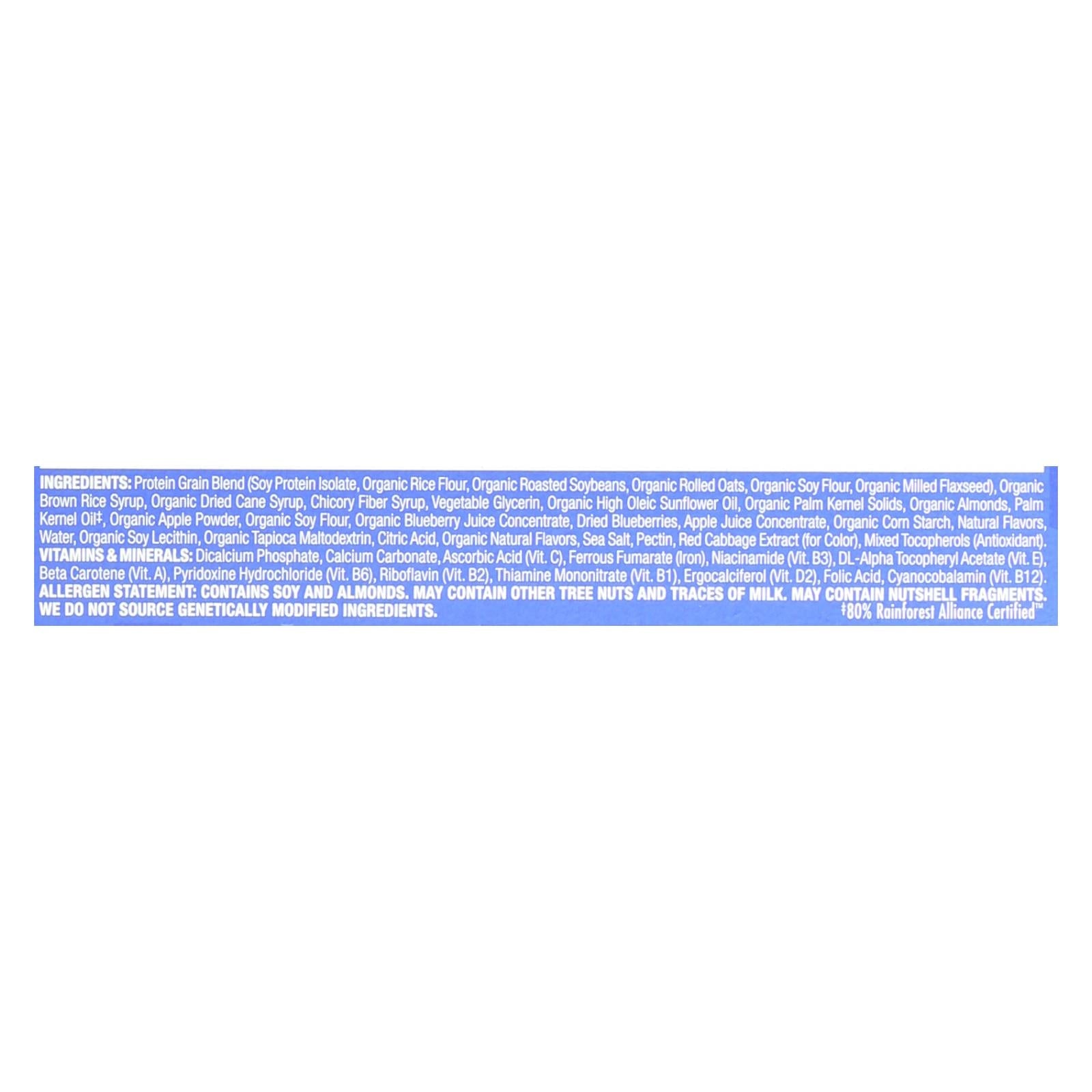 Luna Bar Blueberry Bliss - Organic - 15 Count