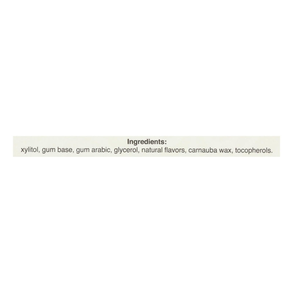 Pur Gum Cinnamon, Aspartame-Free, 9 Pieces, Case of 12