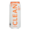 Clean Cause - Yrba Sparkling Orng Ginger - Case Of 12-16 Fz