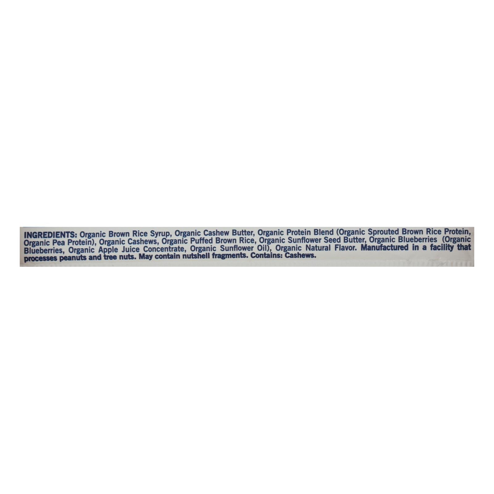Gomacro Organic Blueberry Cashew Bars, 12-Pack, 2.3oz