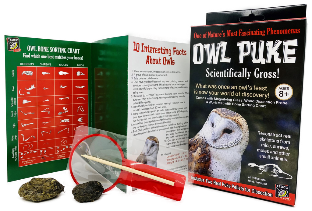 Owl Puke