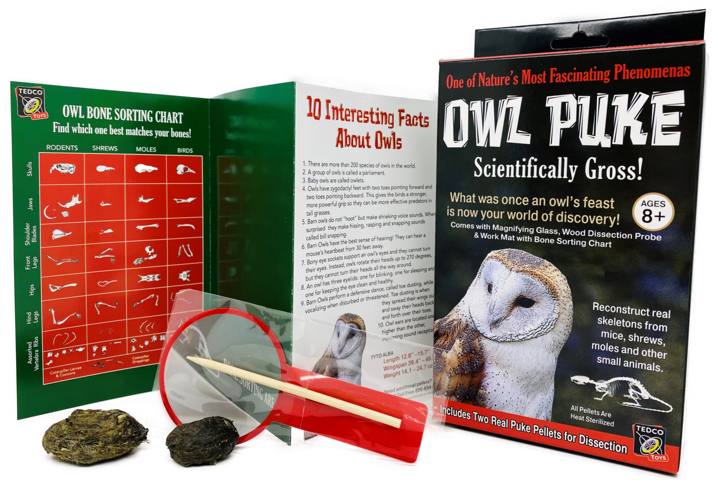 Owl Puke