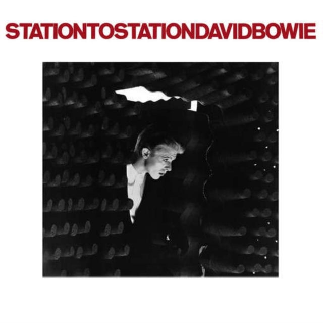 David Bowie - Earthling (2021 Remaster/2LP) & Scary Monsters (& Super Creeps) (2017 Remaster) & Station To Station (2016 Remastered Version) & Changesonebowie (180G) & Pinups (2015 Remaster) & Ziggy Stardust & The Spiders From Mars Ost (50Th
