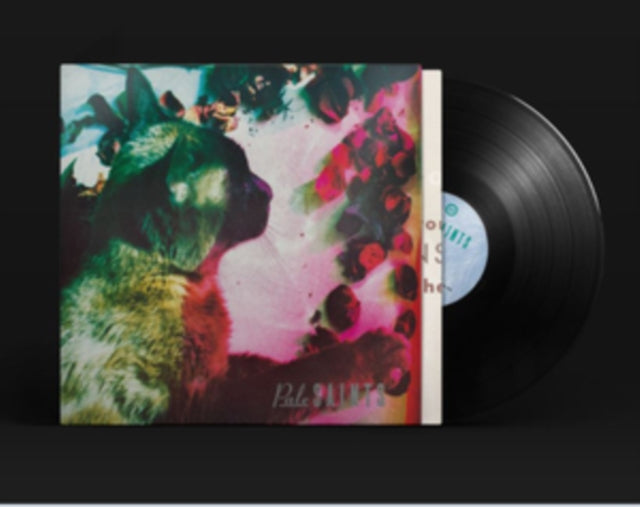 Pale Saints - Comforts Of Madness (30Th Anniversary Reissue) & In Ribbons (Deluxe Edition/2LP)
