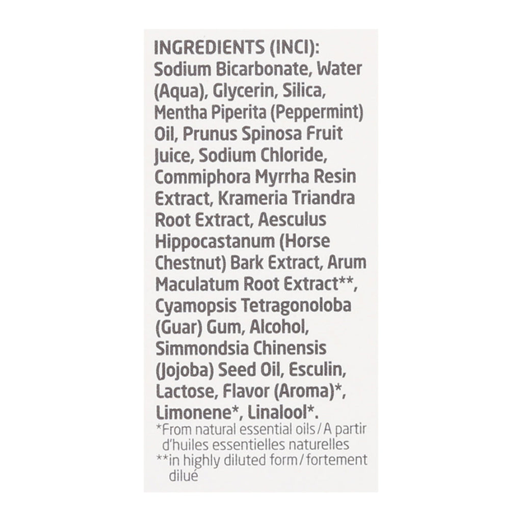 Weleda Salt Toothpaste Peppermint - 2.5 Oz