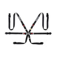 Sparco Comp H-2 Endurance Aluminum Racing Harness - FIA 8853-2016