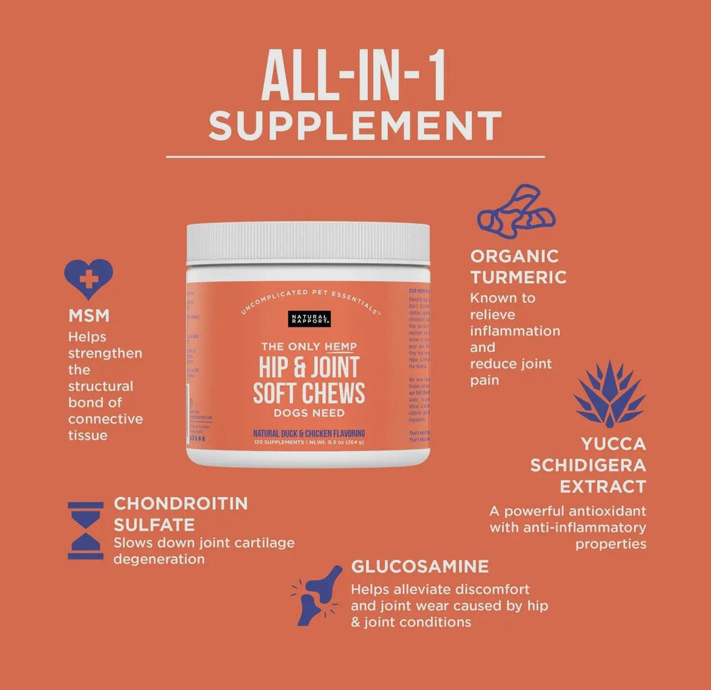🦴🐾 Hip & Joint Support Soft Chews for Dogs – Glucosamine, Chondroitin, MSM & Turmeric
