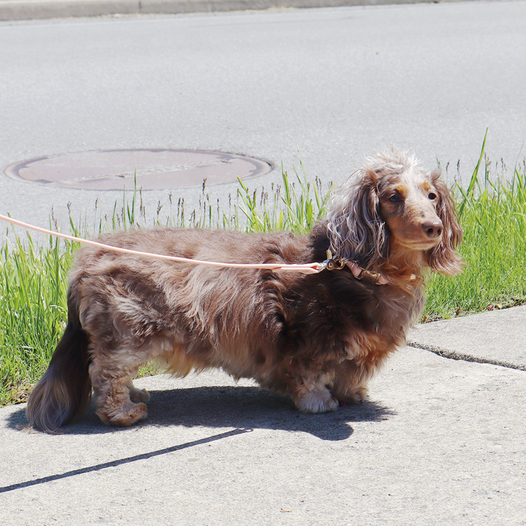 Waterproof Dog Leash | Pink