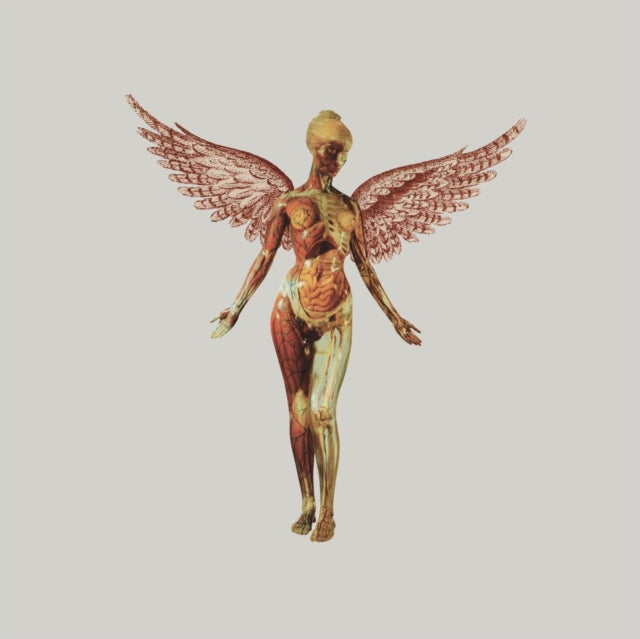 In Utero (30Th Anniversary) (8LP) & Nirvana (200G/45 RPM)