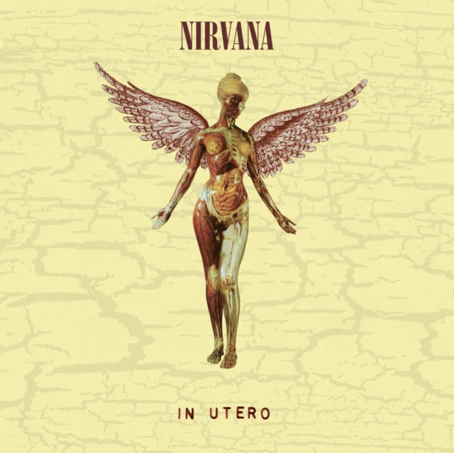Nirvana - Bleach & In Utero (30Th Anniversary) (LP/10 Inch)