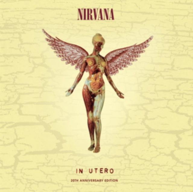 In Utero & In Utero: 2013 Mix (2LP) & Nirvana (150G/Dl Code) & Mtv Unplugged In New York (2 LP) & In Utero (180G/33-1/3 RPM) & Unplugged In N.Y. & From The Muddy Banks Of The Wishkah