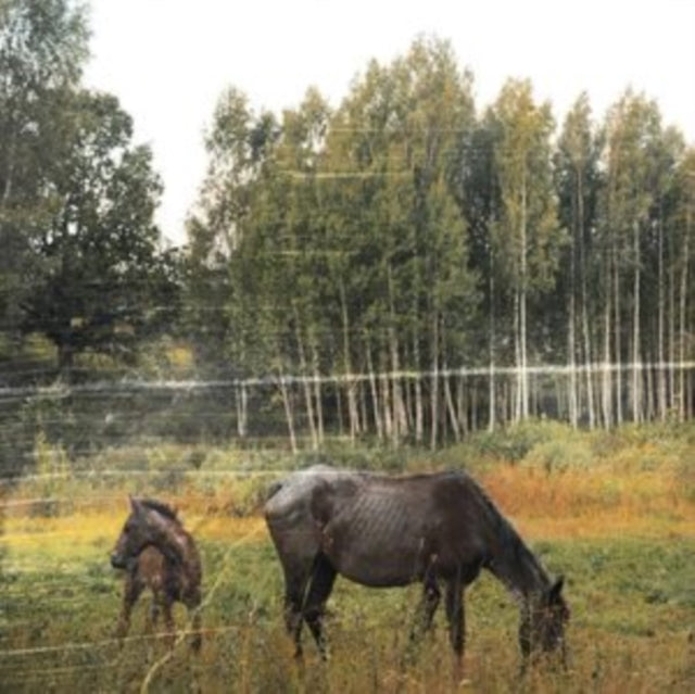 Old Pride (Forest Green LP Vinyl)