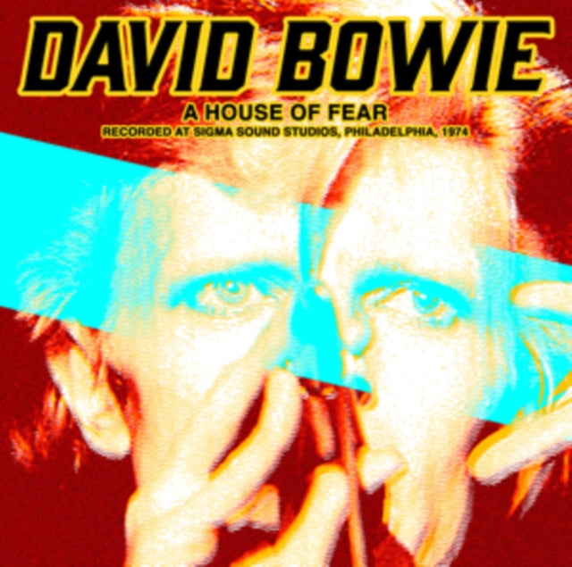 David Bowie - House Of Fear - LP Vinyl