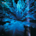 Hum - Downward Is Heavenward (2LP)