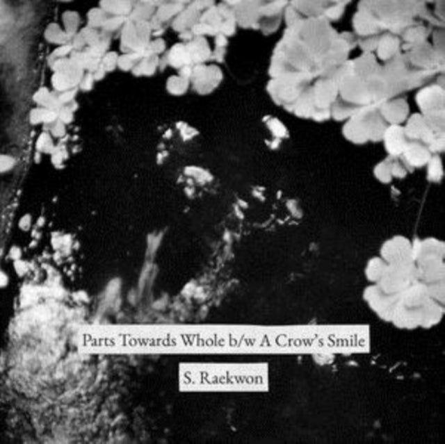 S. Raekwon - Parts Towards Whole B/W A Crow’S Smile - 7 Inch Vinyl