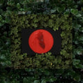 Live - From Blackalachia (2LP/Clear Green Vinyl)