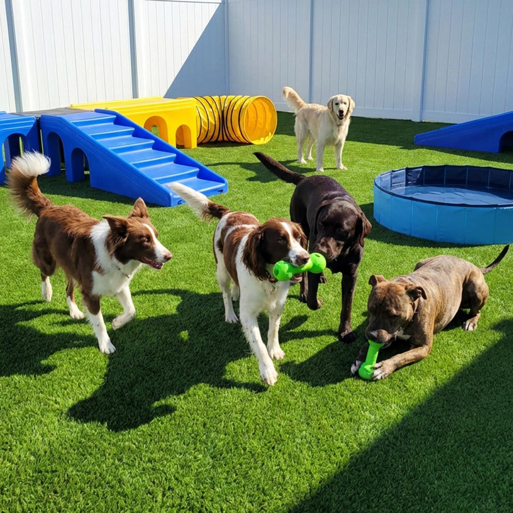 Yescom Outdoor Pet Turf Rolls for Dog Daycare Facility 13/16"H