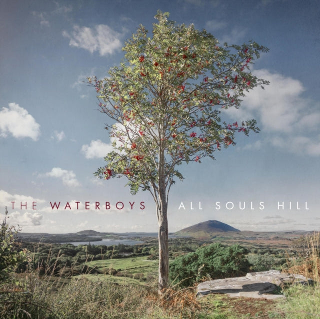 Waterboys - Room To Roam (Half Speed Master) & Dream Harder (180G) & All Souls Hill - LP Vinyl Bundle