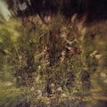 Wile / Remembered (Purple 7Inch)