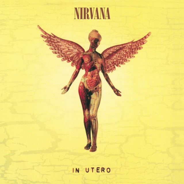 Bleach & In Utero (180G/33-1/3 RPM) & Unplugged In N.Y.