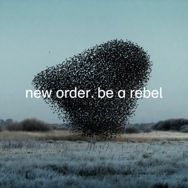 Education Entertainment Recreation (Live) & Be A Rebel