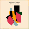 Mount Kimbie - Cold Spring Fault Less Youth - LP Vinyl