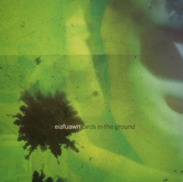 Eiafuawn - Birds In The Ground - LP Vinyl