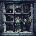 Castle Freak (Dungeon Splatter LP Vinyl)