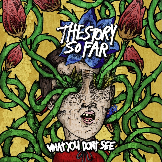 Story So Far - Under Soil & Dirt & What You Don't See - LP Vinyl Bundle