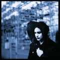 Blunderbuss (180G)