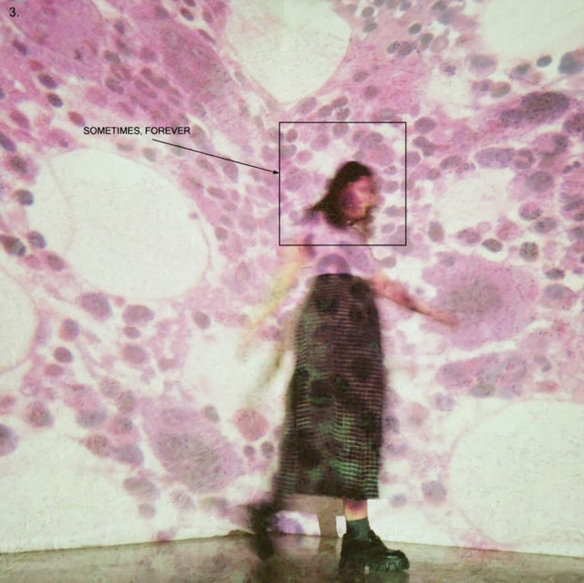 Soccer Mommy - Clean & Sometimes, Forever (Bone LP Vinyl) & Color Theory (Blue Smoke LP Vinyl)