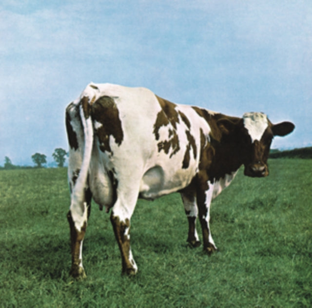 Pink Floyd - Piper At The Gates Of Dawn (Mono Version) & Atom Heart Mother (180G/Gatefold/2016 Version) & Wish You Were Here (Limited) & Wish You Were Here (180G) & Saucerful Of Secrets (Mono/180G) & Animals (2018 Remix) (LP/CD/DVD/Blu-Ray/180G) &