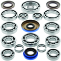 QuadBoss, QuadBoss Transaxle Bearing Kit for Polaris ACE 325 and Ranger Models – Part #417768