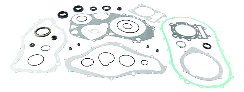 QuadBoss, QuadBoss 00-02 Arctic Cat 500 4x4 AT Complete Gasket Set with Oil Seals – Part Number 564027