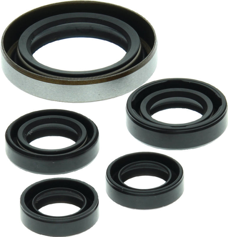 QuadBoss, QuadBoss 06-07 Polaris Outlaw 500 Oil Seal Set – Engine and Transmission Rebuild Kit