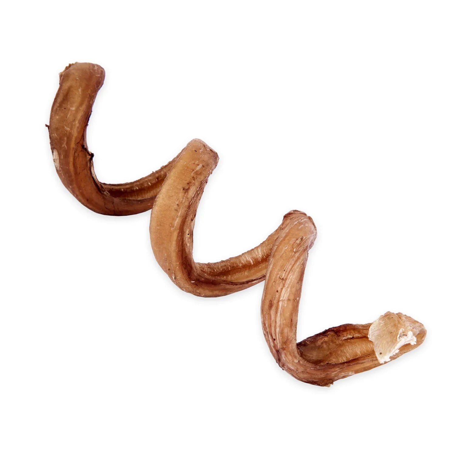 🦴🐄 Bully Spring Chews – 6–8" Natural Low-Odor Beef Pizzle Dog Chews