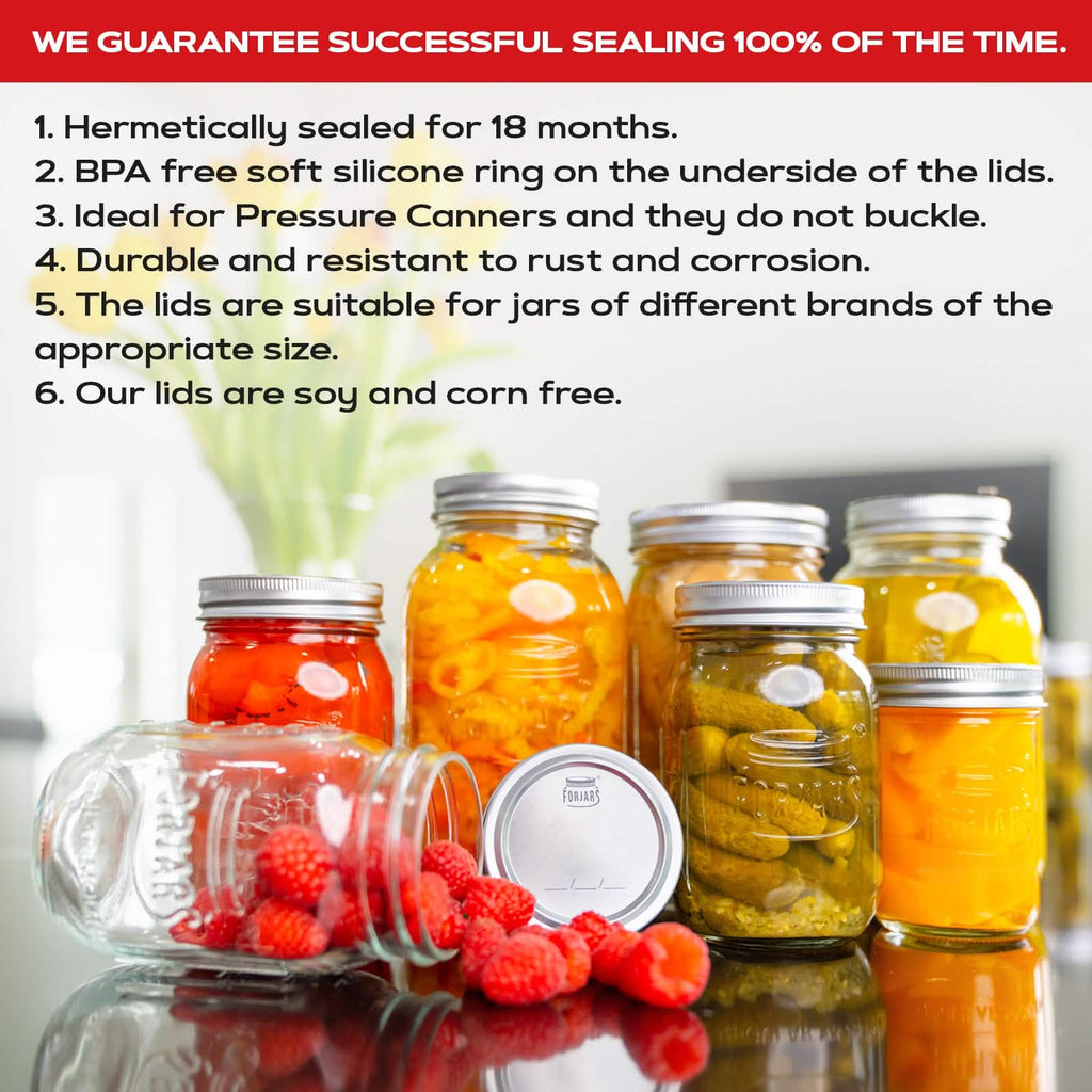 100 Regular Mouth Canning Lids - PhishStones Products