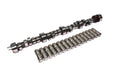 Comp Cams LT1 260XFI HR-13 CAM & LIFTER KIT