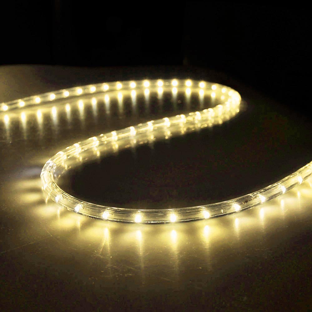 Yescom LED Rope Light Outdoor Waterproof 150ft
