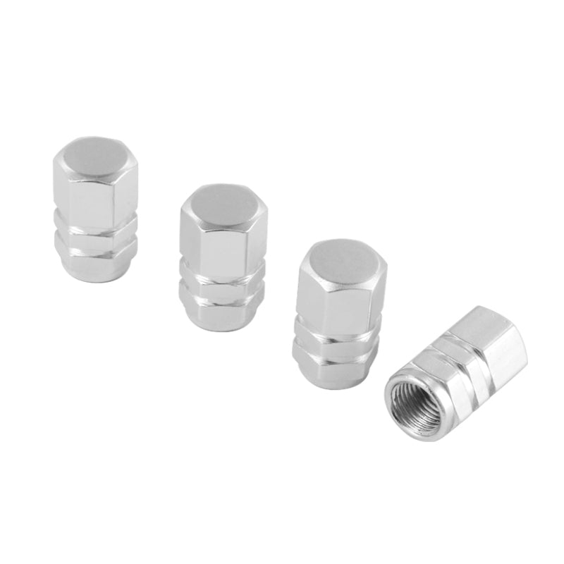 SPYDER Xtune Tires Valve Stem Cap 4pcs Silver ACC-VC01-SL 9933394