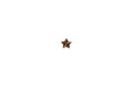 US Army Star 5/16 Single Bronze Ribbon Device