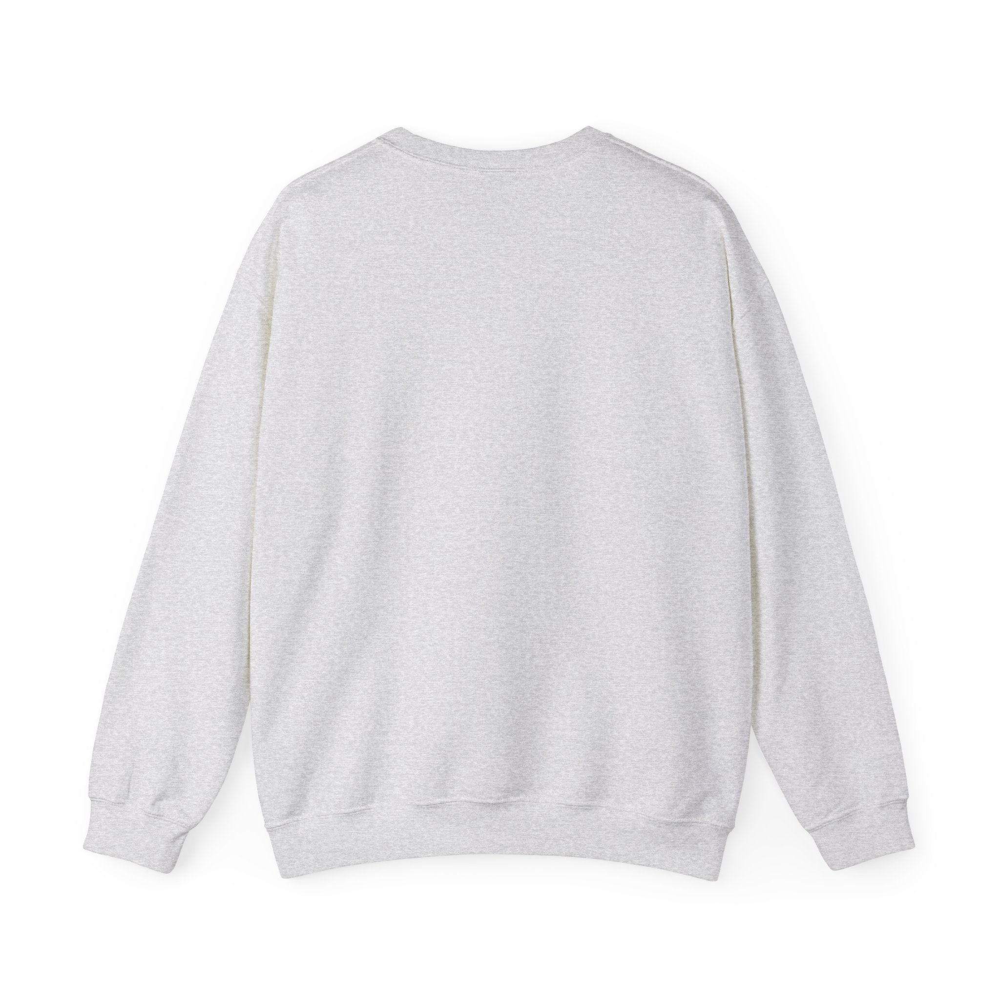 Crewneck Sweatshirt — "Motivation Is a Universal Language" Inspirational Pullover
