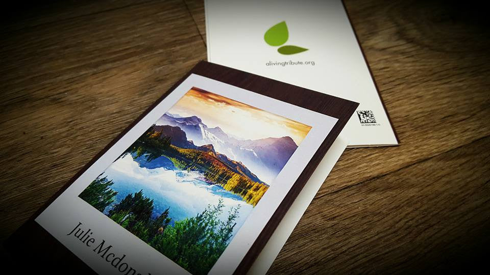 Plant a Tree in Honor of Someone - A Living Tribute Tree Gift