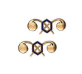 U.S. Army Chemical Officer Branch STA-BRITE® Pin-on (pair)