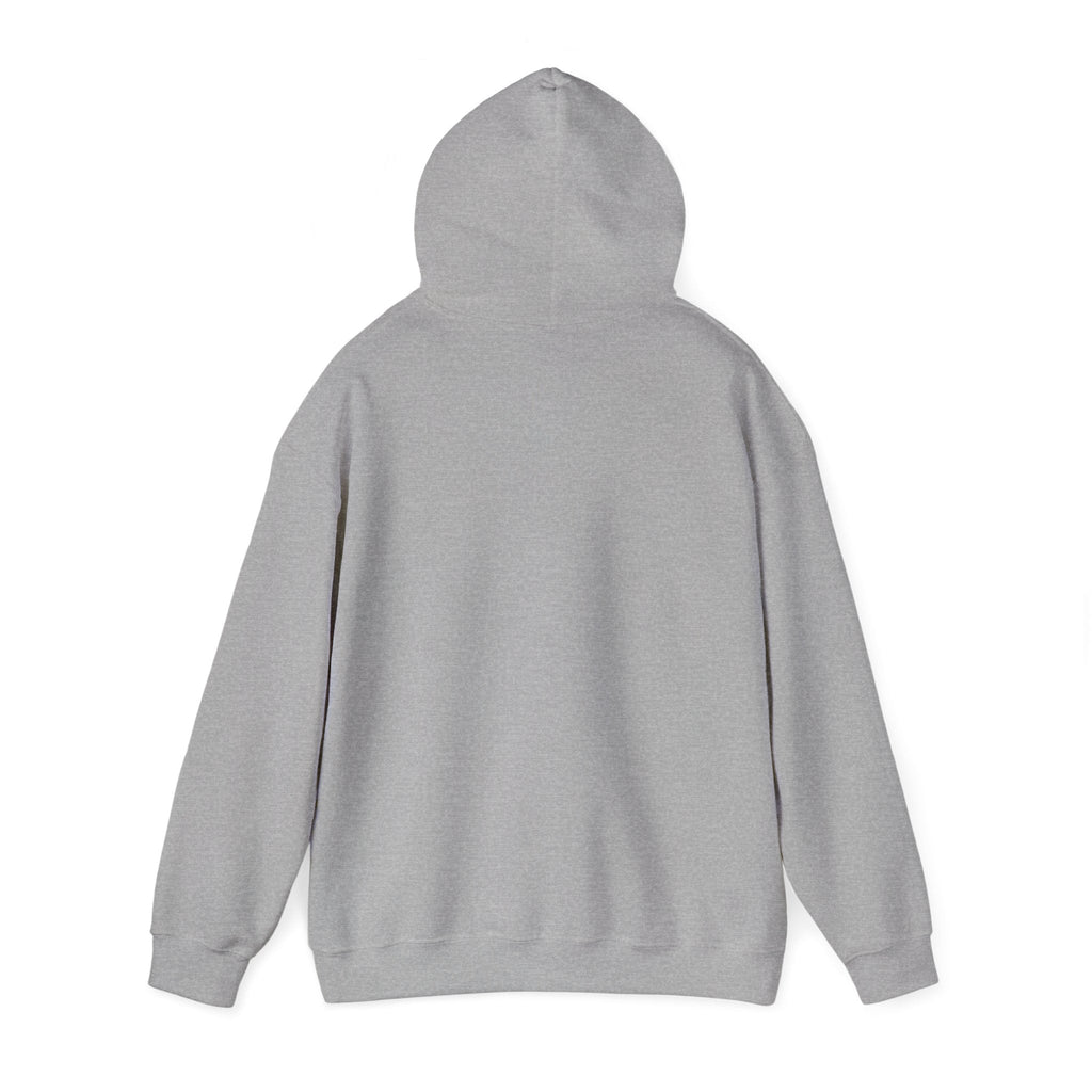 Funny Cat vs Dog Hoodie — Humorous Pet Rivalry Sweatshirt