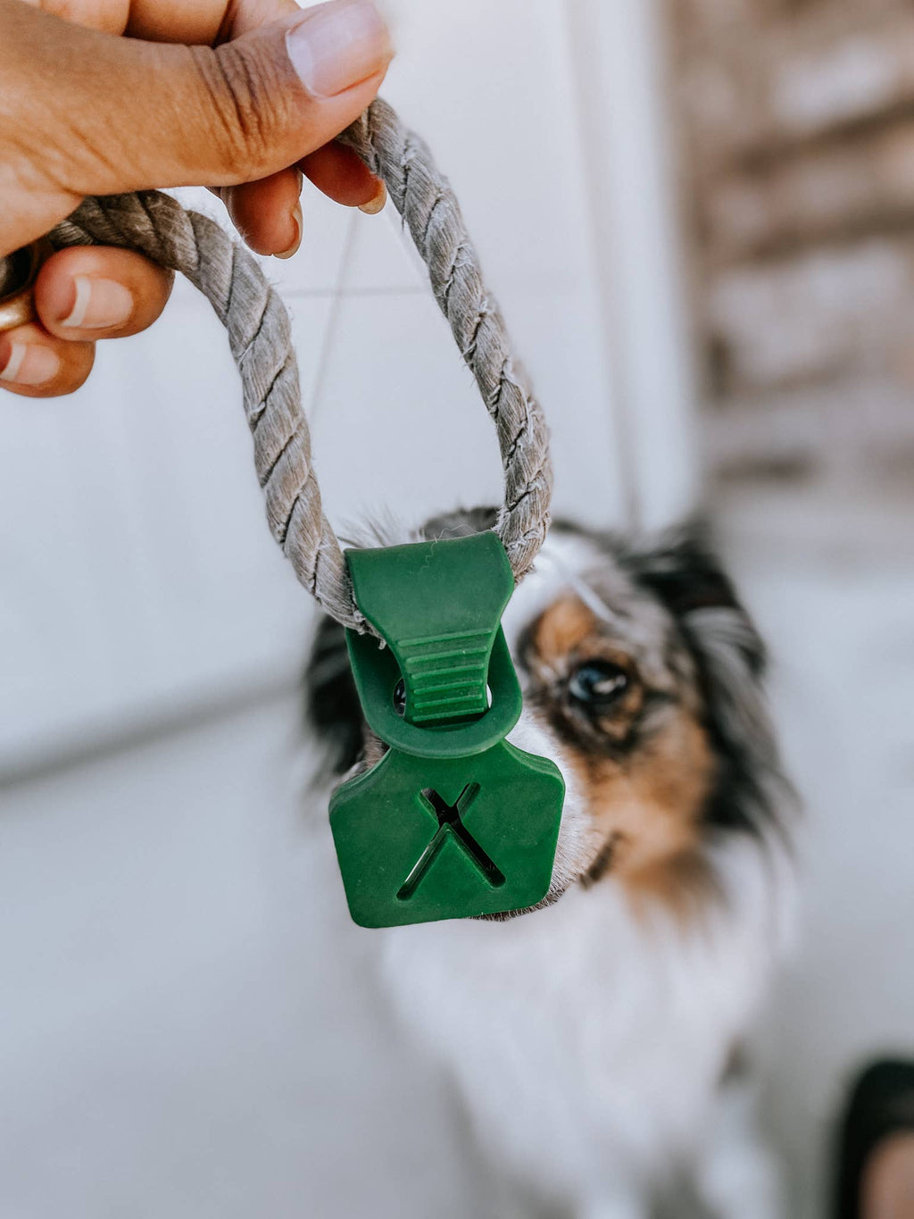 💼 Poop Bag Carrier Attachment